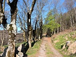 Alpe Camasca (mt.1230) : la destinazione di oggi è chiamata anche "Giandolino"